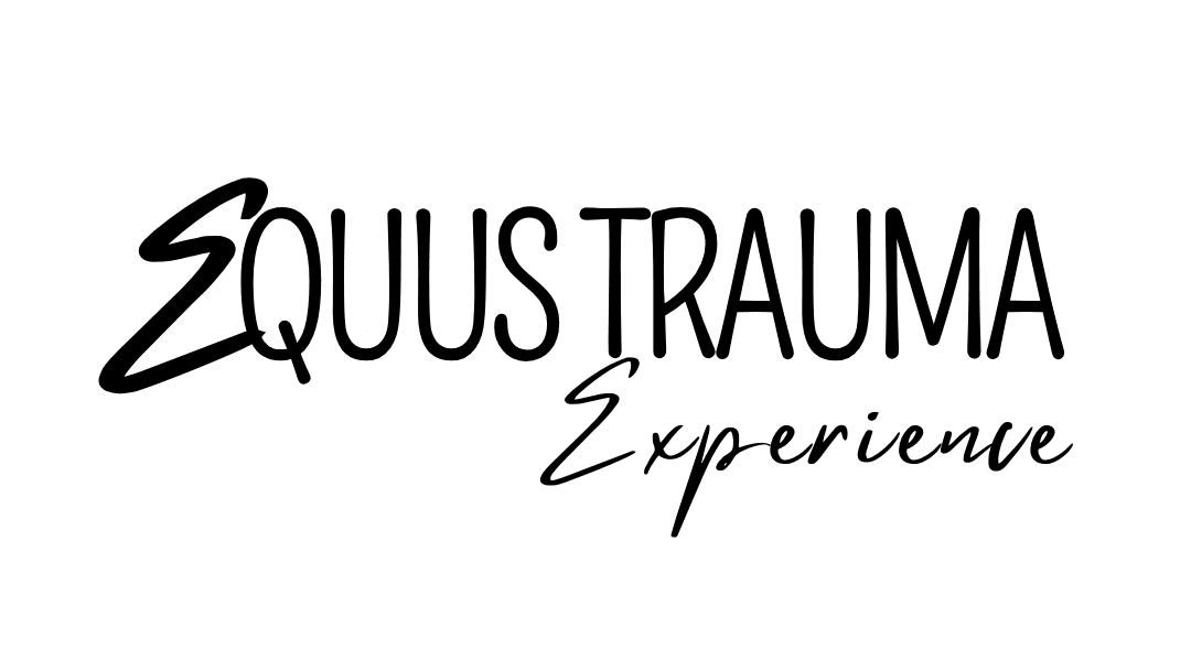 curso cirurgia equinos