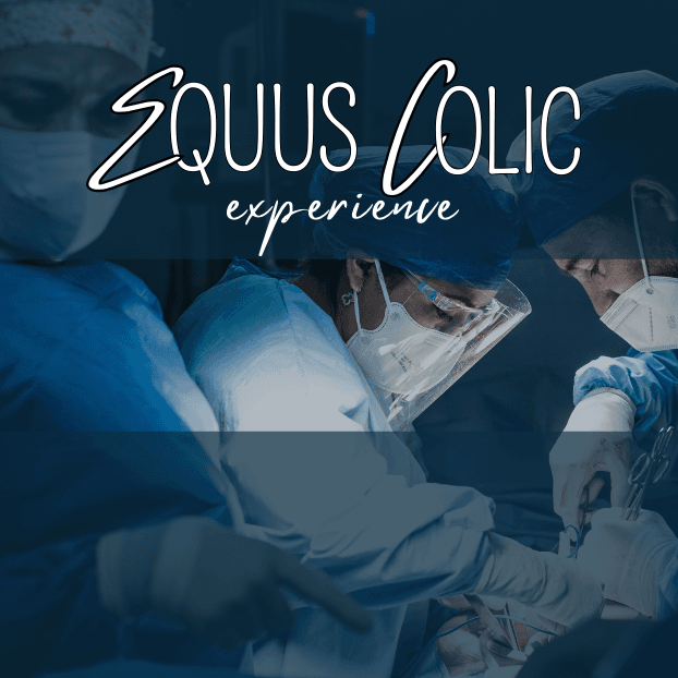 equus colic experience, cirurgia equina