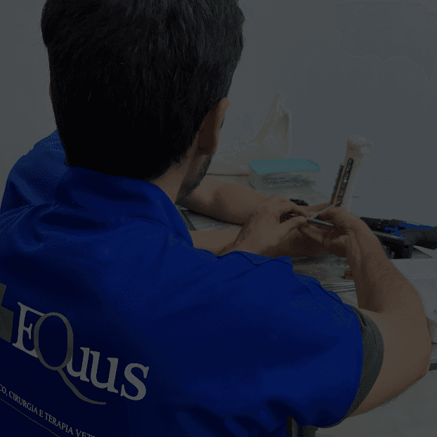aluno equus em aula prática